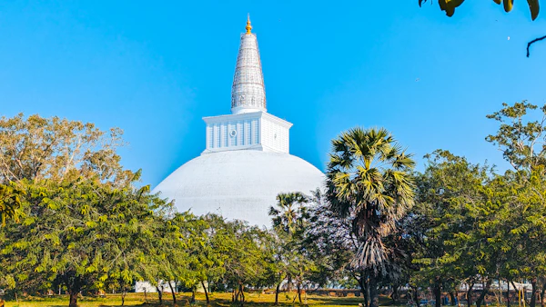 A great white dagoba rising behind palm trees under a clear blue sky in Anuradhapura