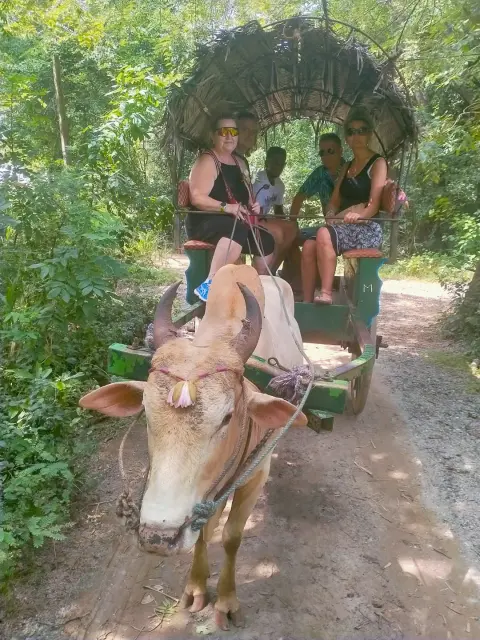 A bullock pulling a thatched-roof cart full of guests along a forest track