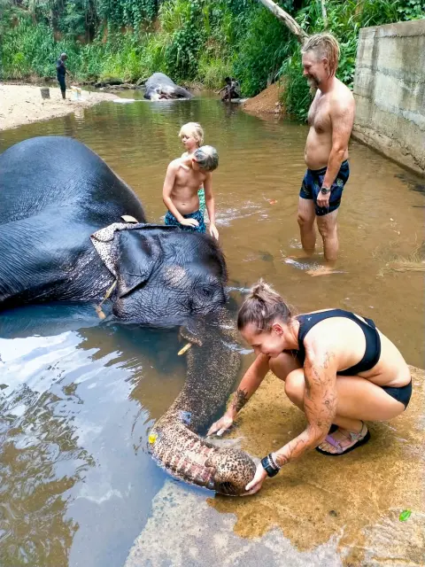 Guests helping to scrub an elephant as it lies in a shallow river, a child sitting on its back