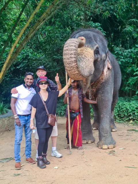 Guests and their driver-guide standing beside an elephant with its trunk raised, and its mahout