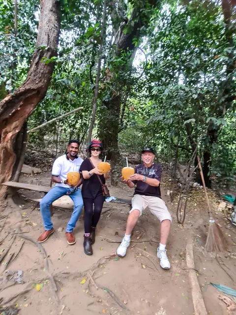 Three people sitting on a log in a forest, each drinking from a king coconut