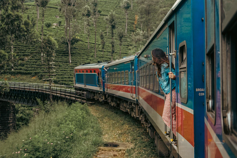 A traveller leaning out of a train window as it winds through tea country